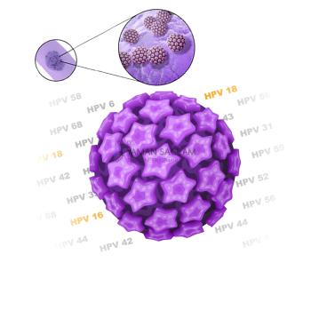 HPV Virüsü Kansere Nasıl Sebep Olur?