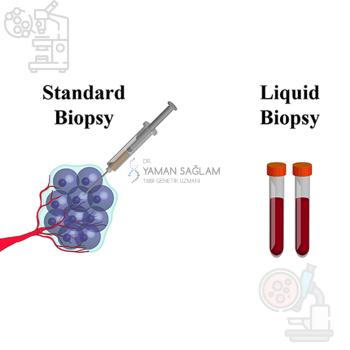 Doku Biyopsisi ile Likit Biyopsi Arasındaki Farklar Nelerdir?